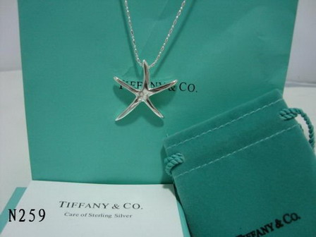 tiffany Necklace-090